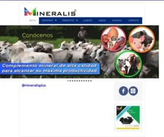 Mineralis.com.ve(Inicio) Screenshot