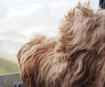 Minholding.com(Matt&#039;s Blog) Screenshot