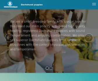 Minidachshundpups.com(Minidachshundpups) Screenshot