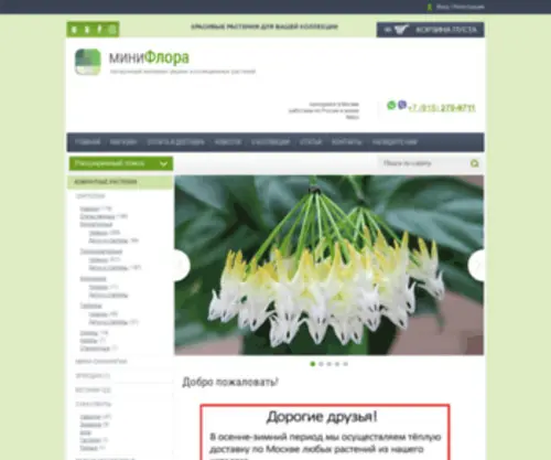 Miniflo.ru(МиниФлора) Screenshot