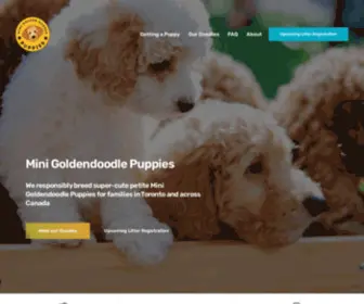 Minigoldendoodlepuppies.ca(Mini Goldendoodle Puppies) Screenshot