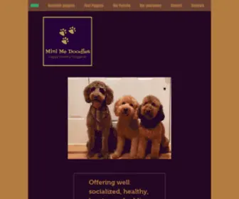 Minimedoodles.com(Mini Goldendoodle Breeder) Screenshot