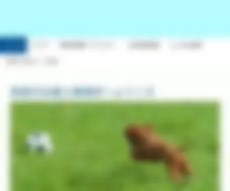 Minoh-Shihosyoshi.com(国产在线观看免费观看不卡) Screenshot