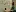 Mirabelle.shop Favicon