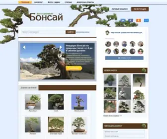 Mirbonsai.com(Mirbonsai) Screenshot