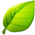 Mirtabaka.net Logo