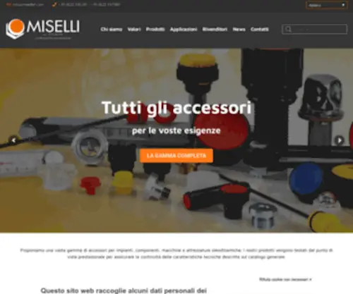 Misellisrl.com(Miselli SRL) Screenshot