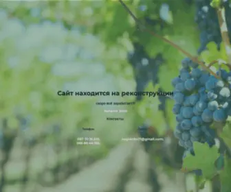 Misha-Grechko-Vine.com.ua(Виноградник) Screenshot