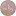 Misslizdidit.com Favicon