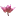 Mituovillage.com Favicon