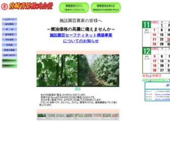 Miyazakiseika.jp(宮崎青果) Screenshot