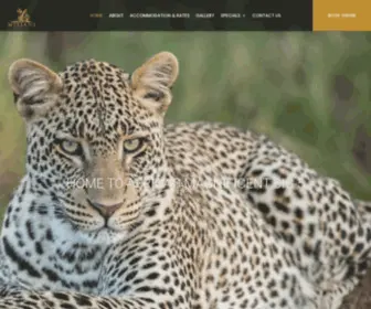 Mjejaneriverlodge.co.za(Mjejane River Lodge) Screenshot