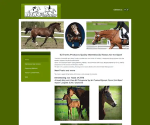 Mjfarm.com(MJ Farms Welcome Canadian Warmblood Foals) Screenshot