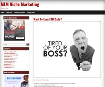 MLmnichemarketing.com(MLM Niche Marketing) Screenshot