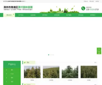 MMM370.com(安徽省滁州市黄圩园林苗圃) Screenshot