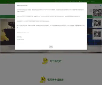 MMyem.com(毛毛叶贸易（原名汇鑫 HXIL）) Screenshot