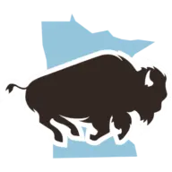 Mnbison.org Favicon