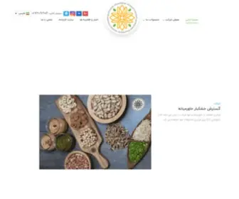 MND-CO.com(شرکت) Screenshot