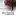 Mochatini.org Favicon