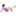 Modelle-Hamburg.de Favicon