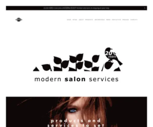Modernsalonservices.com(Modern salon services) Screenshot