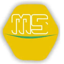Modesoftsolutions.com Logo