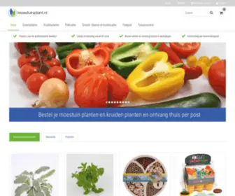 Moestuinplant.nl(Online groente planten kopen) Screenshot