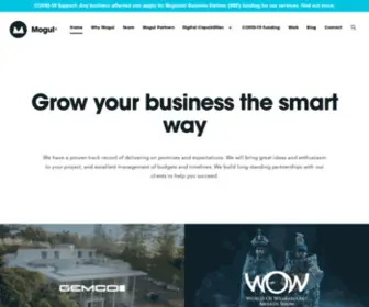 Mogul.co.nz(Digital Agency) Screenshot