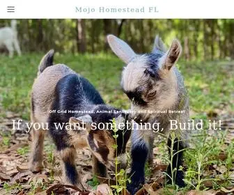 Mojohomesteadfl.com(Mojo homestead FL) Screenshot