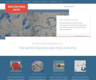 Moldbacteriafacts.com(Mold Bacteria Facts) Screenshot