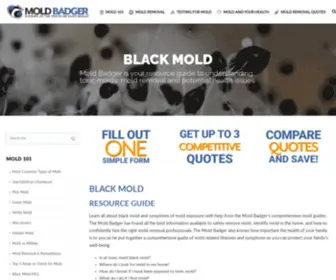 Moldbadger.com(Mold Badger) Screenshot