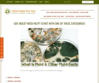 Moldhelpforyou.com(Moldhelpforyou) Screenshot