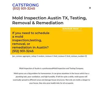 Moldinspectionaustintx.com(Mold Inspection AustinTesting) Screenshot