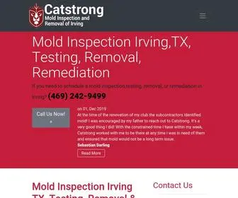 Moldinspectionirving.com(Mold Inspection Irving TX) Screenshot