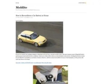 Moldite.com(New and Working Roblox Cheats and Roblox Hacks) Screenshot