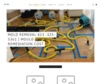 Moldremovalinottawa.com(Moldremovalinottawa) Screenshot