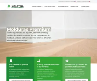 Moldtek.cl(Expertos en puertas y molduras para todos tus proyectos) Screenshot