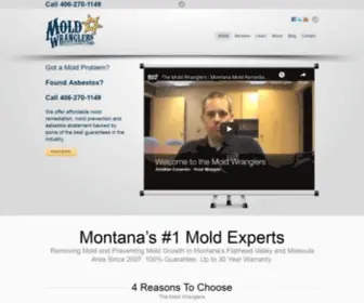 Moldwranglers.com(Mold Wranglers) Screenshot