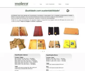 Moleco.com.br(Reciclável) Screenshot