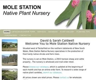 Molerivernursery.com(David & Sarah Caldwell welcome you to Mole Station Native Nursery) Screenshot