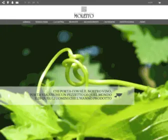 Moletto.com(Moletto Societa' Agricola s.s) Screenshot