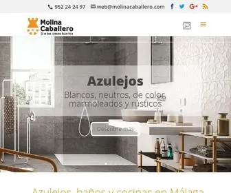 Molinacaballero.com(Molina Caballero) Screenshot