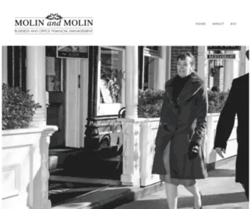 Molinandmolin.com(Molin and Molin) Screenshot