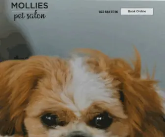 Mollies.co.nz(A boutique pet salon in Bayswater on Auckland’s North Shore. Professionally trained & caring) Screenshot