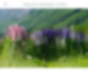 Mollievolinskylcsw.com(Mollievolinskylcsw) Screenshot