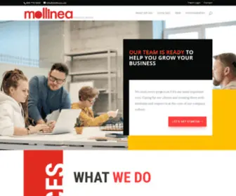 Mollinea.com(Mollinea Group) Screenshot