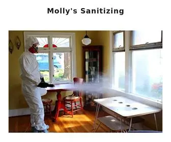 Mollysanitizing.com(Molly's Sanitizing) Screenshot