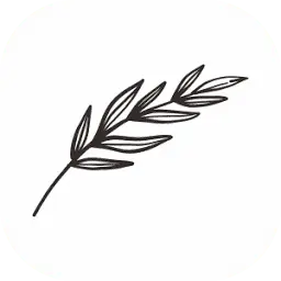 Momenika.id Favicon