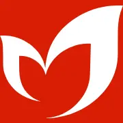 Mondragonline.com Favicon