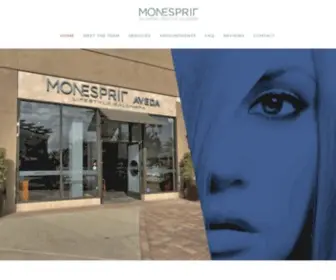 Monespritsalon.com(Monesprit Salon) Screenshot